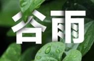 今日谷雨的祝福语（谷雨祝福语短句）