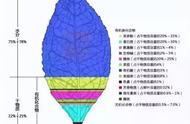 茶叶所含的都有什么元素（茶叶里边含什么比较高）