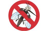 维生素b1可以驱蚊吗（维生素b1有多大驱蚊效果）