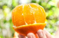全国最便宜的果冻橙（最便宜的果冻橙多少钱一斤）