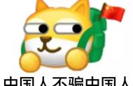 猫丢了找不到对主人影响吗（猫丢了找不到了很难过）