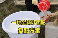 二合一叶面肥配方（专家讲座叶面肥配方）