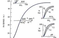 论述影响氧离曲线的因素有哪些（影响氧解离曲线位置的主要因素）