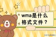 wma是音频还是视频格式（wma属于音频文件类型吗）