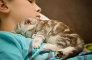 猫为什么喜欢睡在肚子（猫为什么喜欢把肚皮翻过来睡）