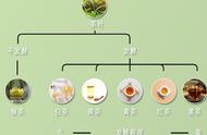 茶等级一览表图片（六大茶分类标准）