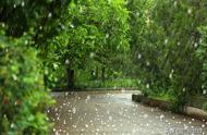 黄梅时节家家雨全诗翻译（黄梅时节家家雨古诗讲解）