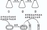 什么是选择培养基和鉴别培养基（怎么区别鉴别和选择培养基）