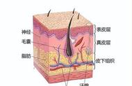 幼儿皮肤晒黑了怎么样才能补回来（儿童皮肤晒黑怎样快速的恢复）