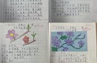植物记录卡三年级下册（植物记录卡怎么做三年级简单漂亮）