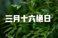 到了三月十六日是什么节日（农历三月三什么节日）