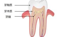 10种美白牙齿方法（几种美白牙齿的方法）