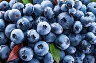 蓝莓采摘季节是几月份（1-12月份时令水果大全）