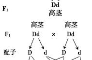 初中生物好教吗（初中生物重点知识归纳）