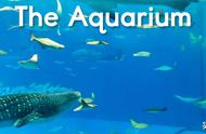 the aquarium怎么读（aquarium英文怎么发音）