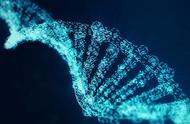 人类基因有多少编码蛋白质（人类最长的蛋白质编码基因）
