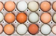 有的鸡蛋为什么会有绿色的（为什么现在的鸡蛋是绿色的）