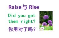 raise和rise的区别以及正确用法（rise和raise的区别和用法）