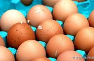 一个鸡蛋多少大卡（一天不超500卡的简易食谱）