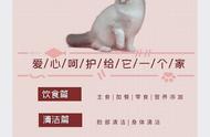 两个月布偶猫怎么养（7个月的布偶猫新手怎么养）