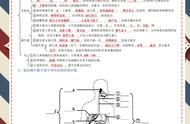 初中生物人体结构思维导图（七年级生物人体八大系统思维导图）