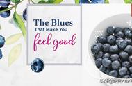 蓝莓功效与作用及食用方法（蓝莓茶的功效与作用及禁忌）
