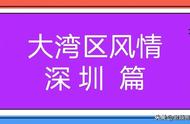 深圳蛇口为什么叫蛇口图片（深圳蛇口有多大）