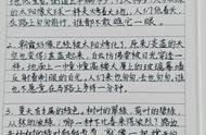 用五感法写夏天300字（三年级用五感法写夏天300字作文）