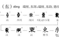 东字一共几笔（东字主笔是哪一笔）