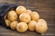 potato you什么梗（老板是potato是什么梗）