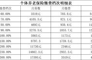 个人养老保险缴费标准明细表（个人养老保险缴费标准明细表格）