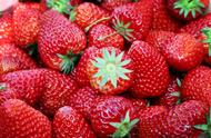 十一月的草莓是反季节的吗（十一月草莓成熟了吗）
