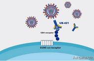 hiv功能性治愈进入三期临床（hiv功能性治愈进入三期临床试验）