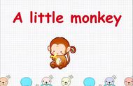 猴子的英文简短（关于猴子的英语介绍）