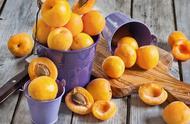 杏子的营养价值及功效与禁忌（杏子的营养价值和害处）