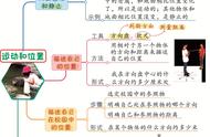 小学生科学思维导图的画法（思维导图怎么画小学科学）