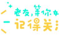 山狗电影1999剧情解析（山狗1999剧情介绍）