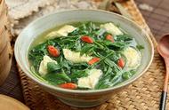 10种蔬菜汤的做法（有营养的蔬菜汤做法大全）
