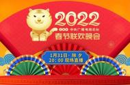 付辛博最近消息2022年（付辛博最新消息今天）