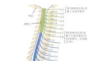 骶管在哪个位置（骶尾部位置图）