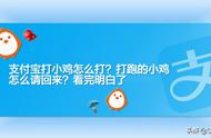 支付宝蚂蚁庄园如何雇佣小鸡（支付宝蚂蚁庄园小鸡怎么快速升级）