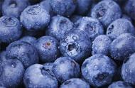 蓝莓的功效与作用及用法（蓝莓的功效与作用适合什么人吃）