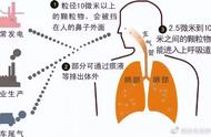 pm2.5的来源（中国pm2.5来源）