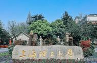 上海理工大学区域位置（上海理工大学坐落在上海啥地方）