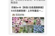 盆栽苹果种植方法图解（盆栽苹果种植一年四季技巧）