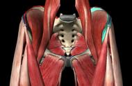 盆骨在身体哪个位置示意图（盆骨区的位置示意图）