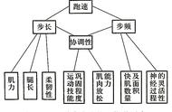 人体平衡可分为哪三类（人体平衡三大机制）