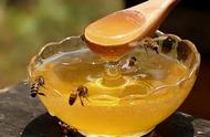 怎样区分蜂蜜和土蜂蜜（怎样辨别土蜂蜜的真假）