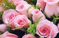 送女生10朵粉玫瑰代表什么意思（女生送男生粉玫瑰代表什么意思）