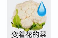 生命画廊讲的什么（生命画廊结局什么意思）